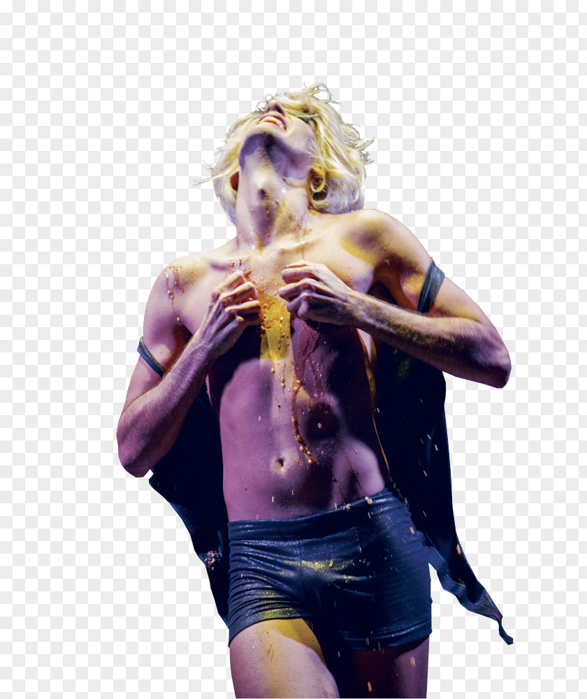 Hedwig Muscle PNG
