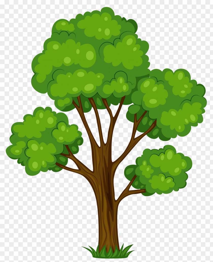 Painted Green Tree Clipart Picture Shrub Cartoon Clip Art PNG