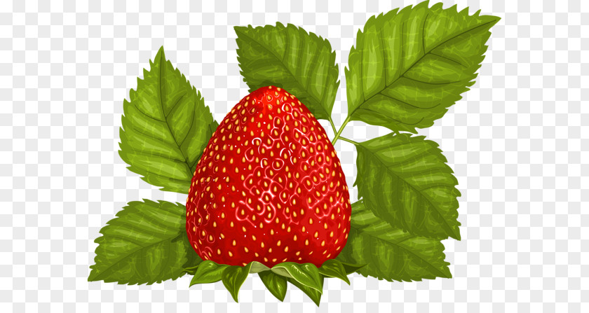 Strawberry Splash Ice Cream Juice Fruit Clip Art PNG