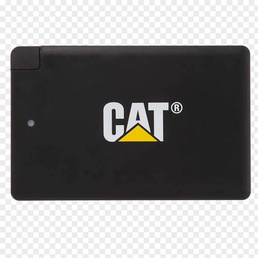 Cat Computer Brand Logo Multimedia PNG