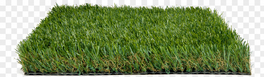 Crop Flooring Green Grass Background PNG