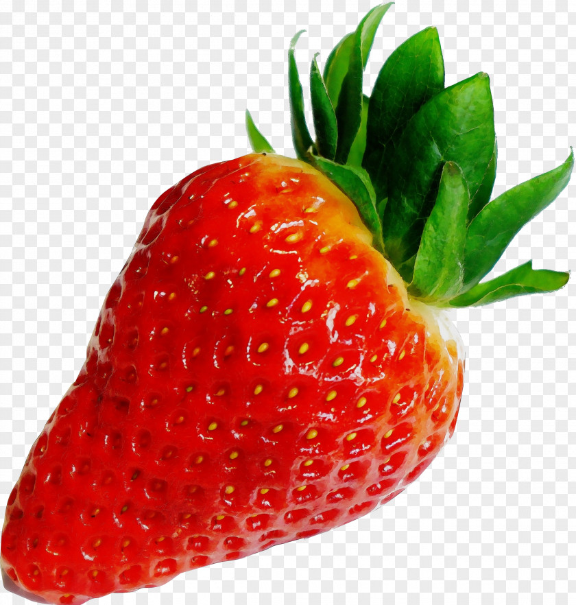 Plant Berry Strawberry PNG