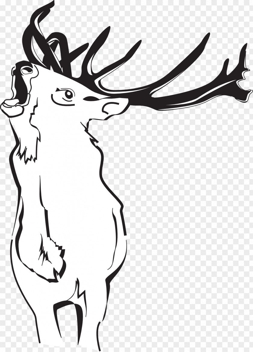 Reindeer Red Deer White-tailed Clip Art PNG