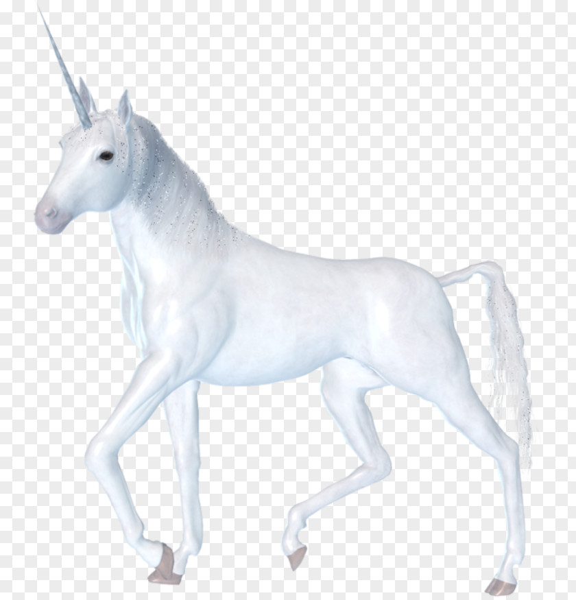 Unicorn Horn Image PNG