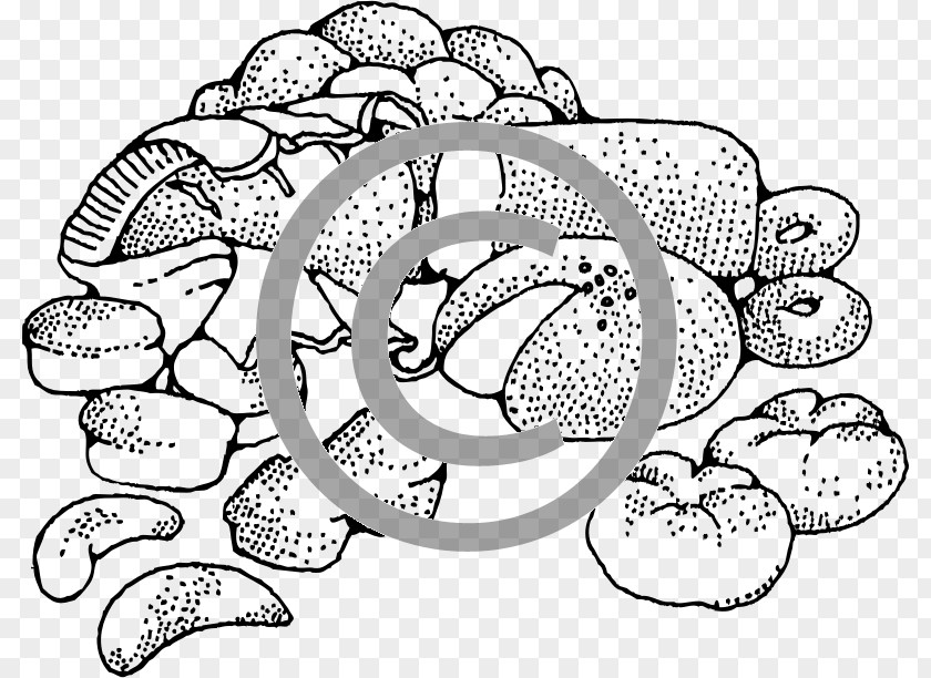 Baked Goods Donuts Baking Croissant Clip Art PNG