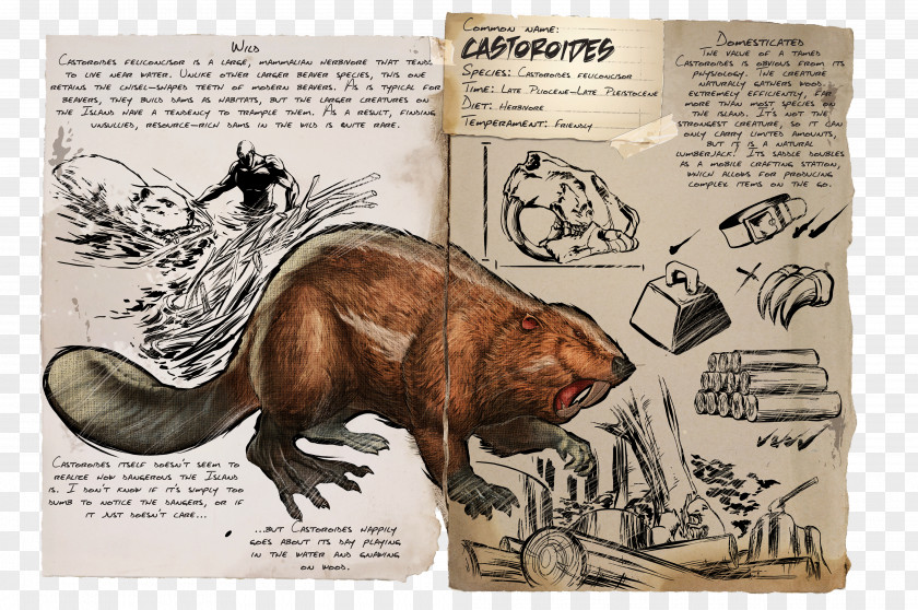 Beaver ARK: Survival Evolved Castoroides Mammal Dinosaur PNG