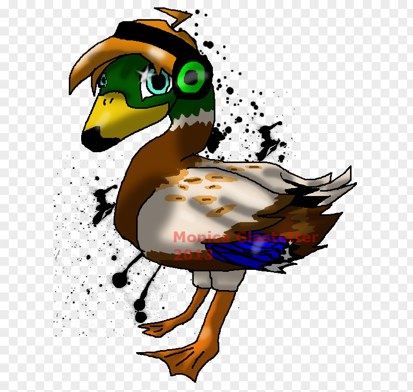 DUCK Duck Water Bird Anatidae YouTube PNG