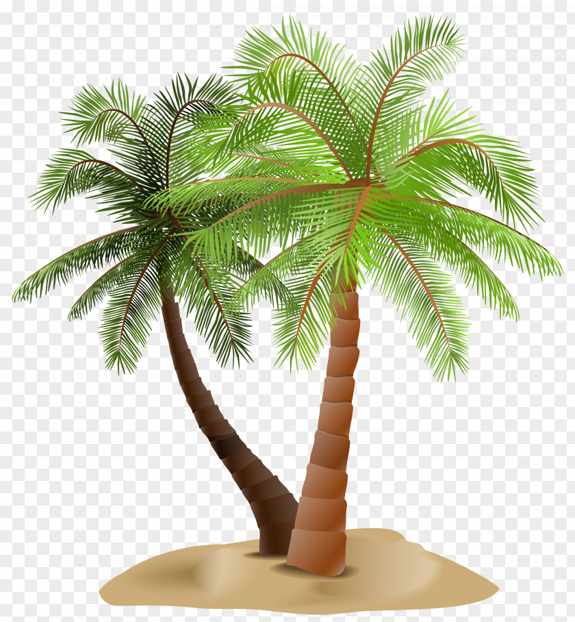 Palms In Sand Transparent Clip Art Image Arecaceae PNG