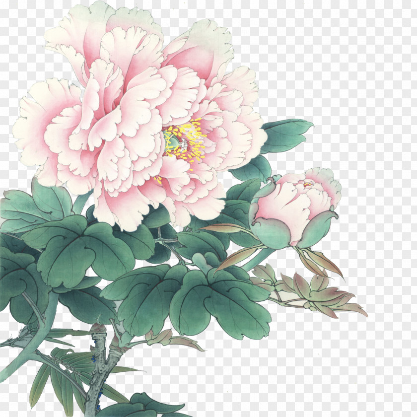 Peony Luoyang Gongbi Chinese Painting Bird-and-flower Moutan PNG