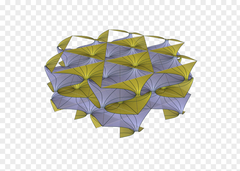 Umbrella Leaf PNG