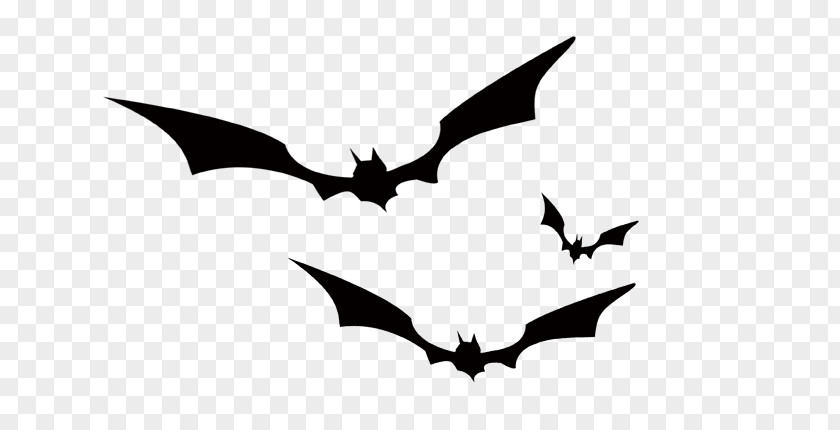 Bat Crows Black And White PNG