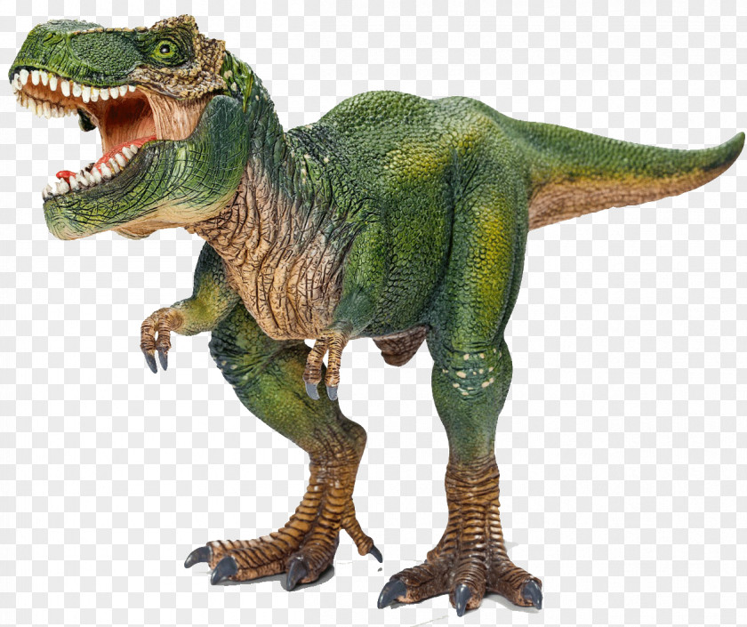 Dinosaur Tyrannosaurus Triceratops Stegosaurus Velociraptor PNG