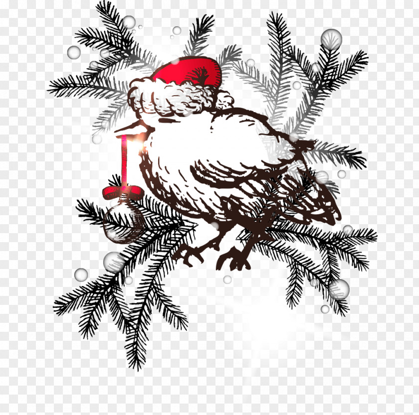 Hand-painted Christmas Balls Dangling Cartoon Bird Drawing PNG