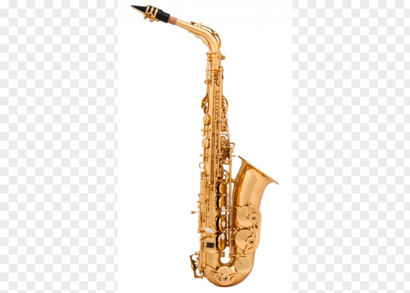 Saxophone Alto Musical Instruments E♭ PNG