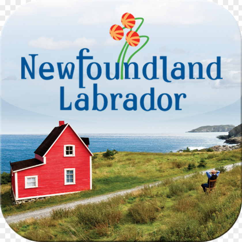 Travel St. John's Labrador Retriever Provinces And Territories Of Canada PNG