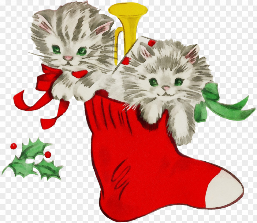 Whiskers Ornament Christmas Stocking PNG