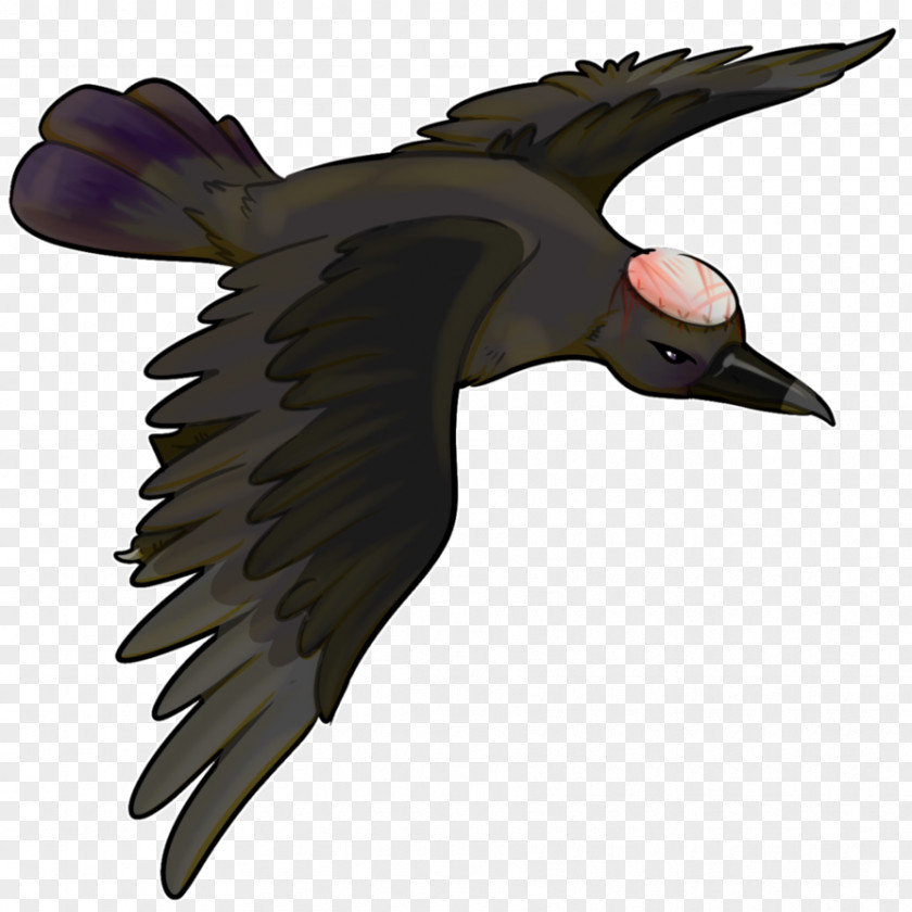 Bird Fauna Water Beak Feather PNG