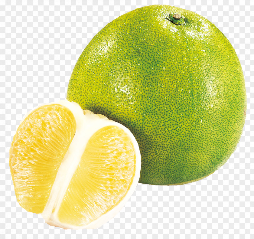 Grapefruit Persian Lime Pomelo Lemon PNG