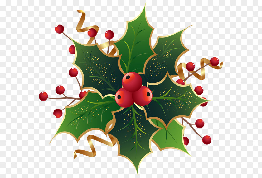 Mistletoe Christmas Decoration Tree Clip Art PNG