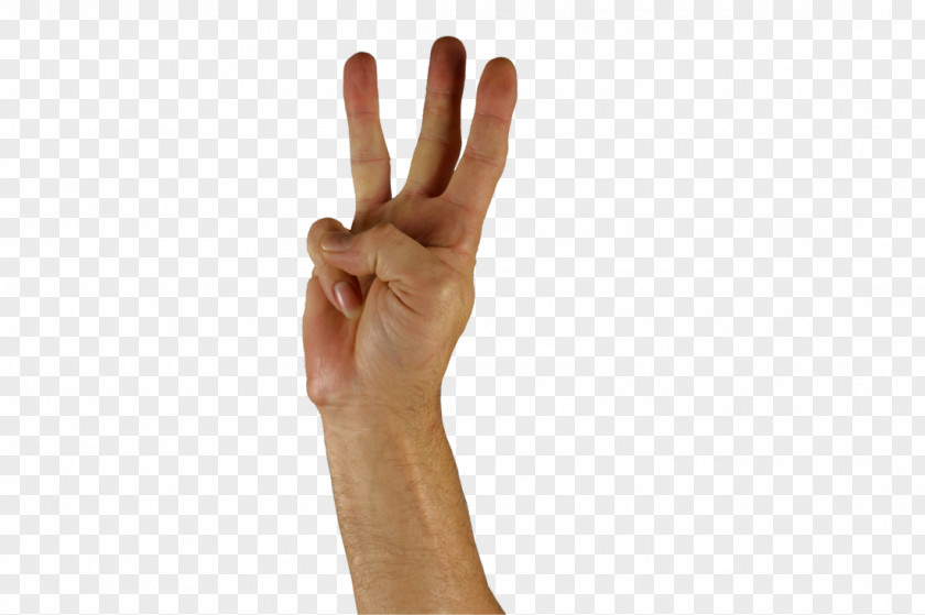 Sign Language Hand Learning English PNG