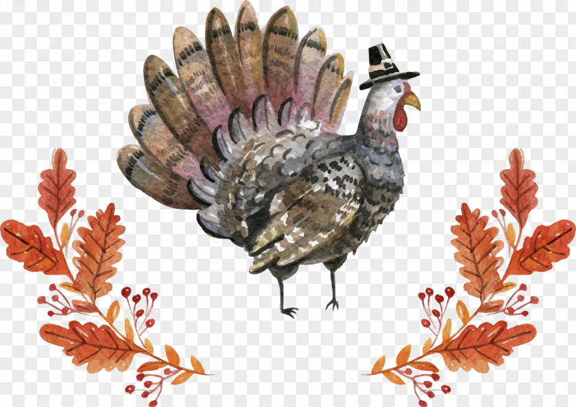 Vector Thanksgiving Turkey Euclidean PNG
