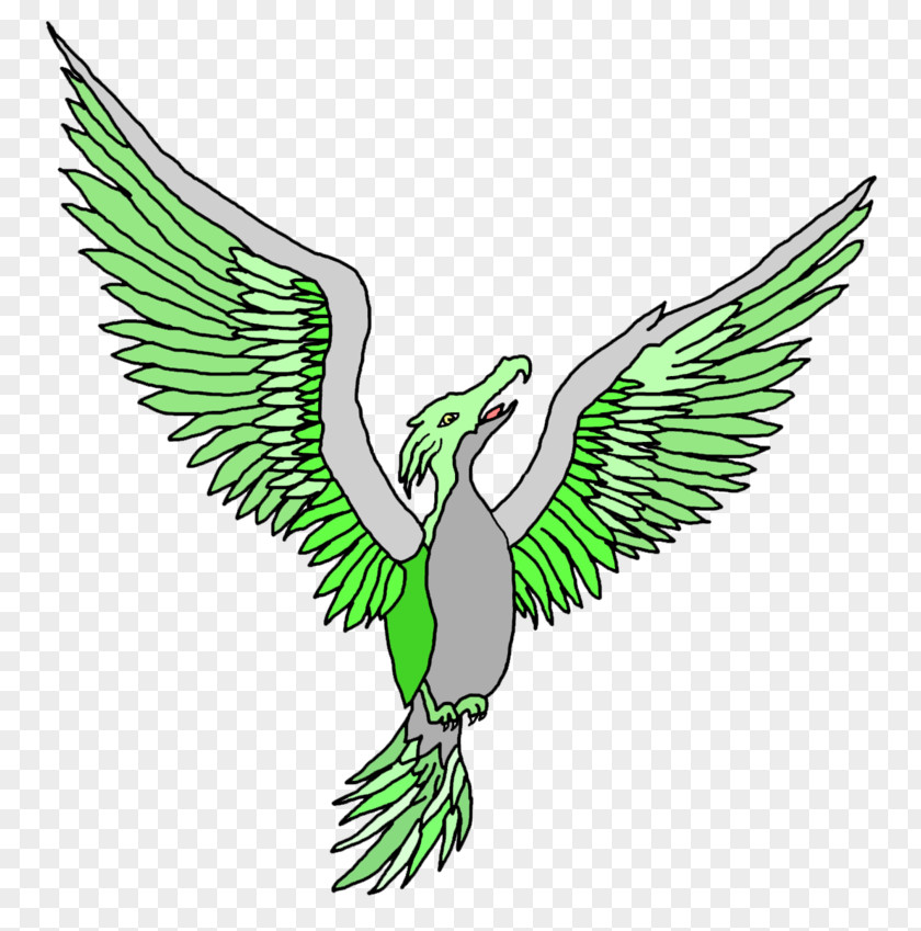 Color Sketch Scheme Theory Eagle Phoenix PNG