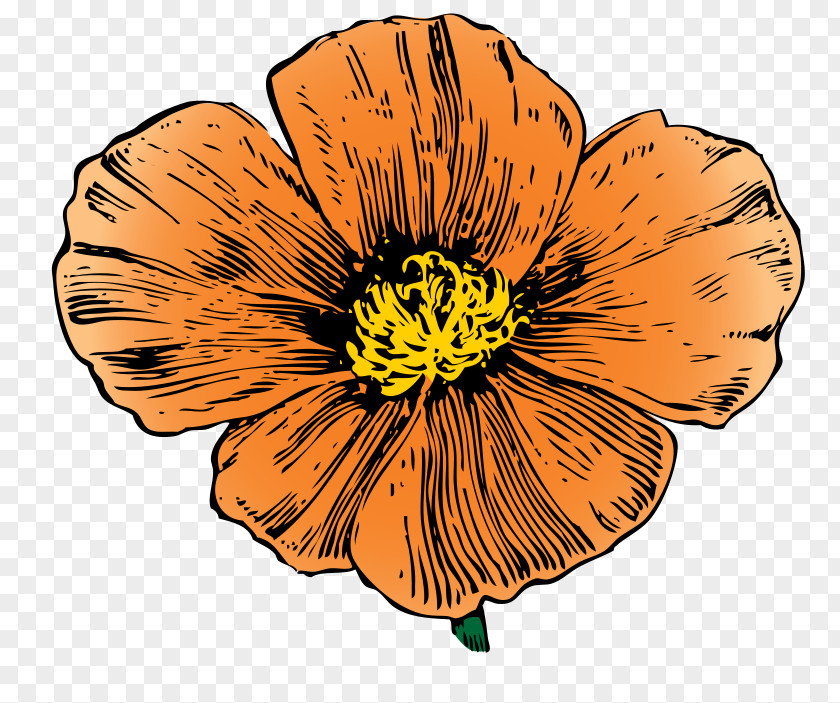 Ca Cliparts California Poppy Clip Art PNG