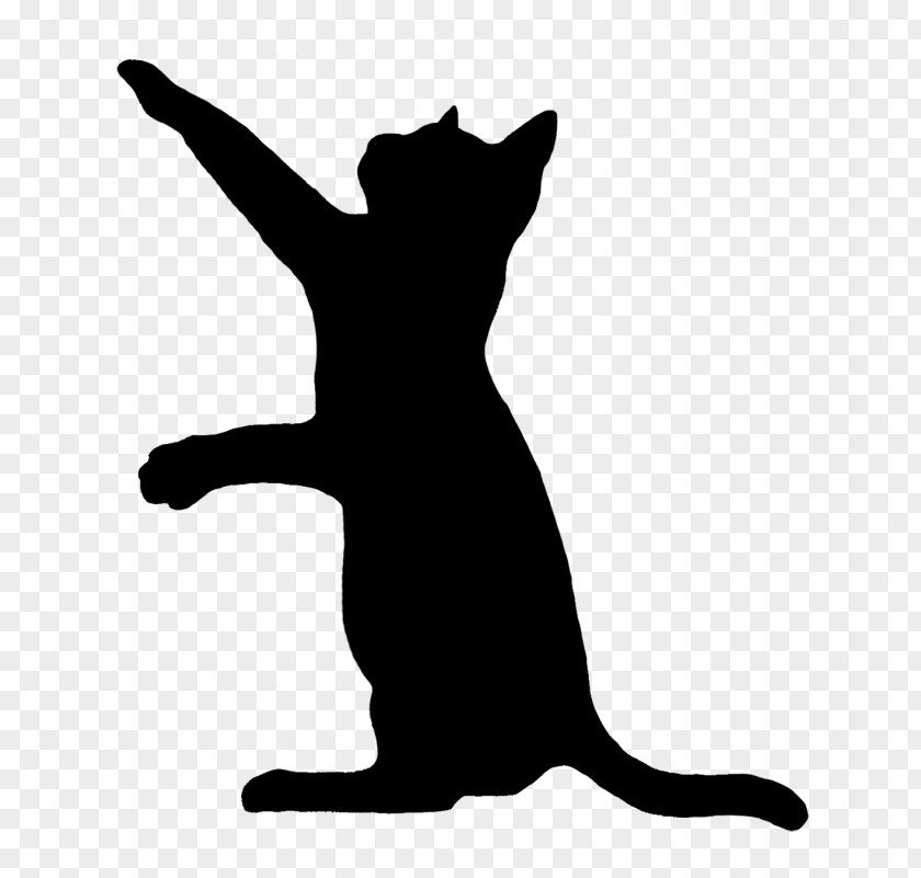 Cat Black Kitten Silhouette Clip Art PNG