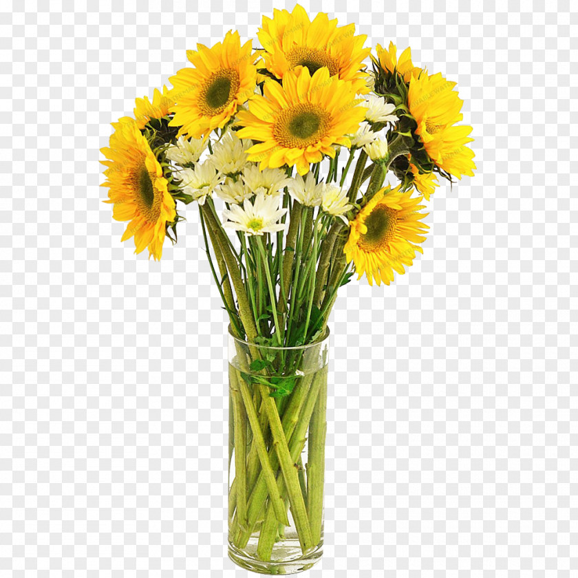 Common Sunflower Shop Vase PNG