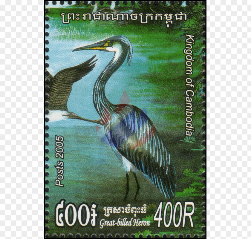 Crane Heron Ecosystem Flora Fauna PNG