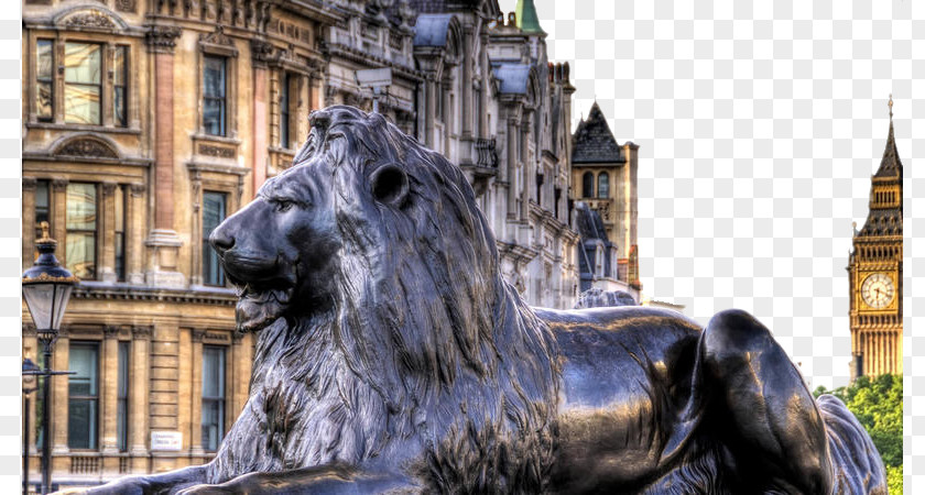 Foreign Construction And Lion Sculpture Buckingham Palace Of Westminster Big Ben Trafalgar Square Tower London PNG
