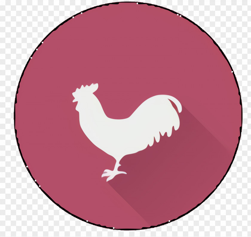 Fowl Beak Chicken Cartoon PNG