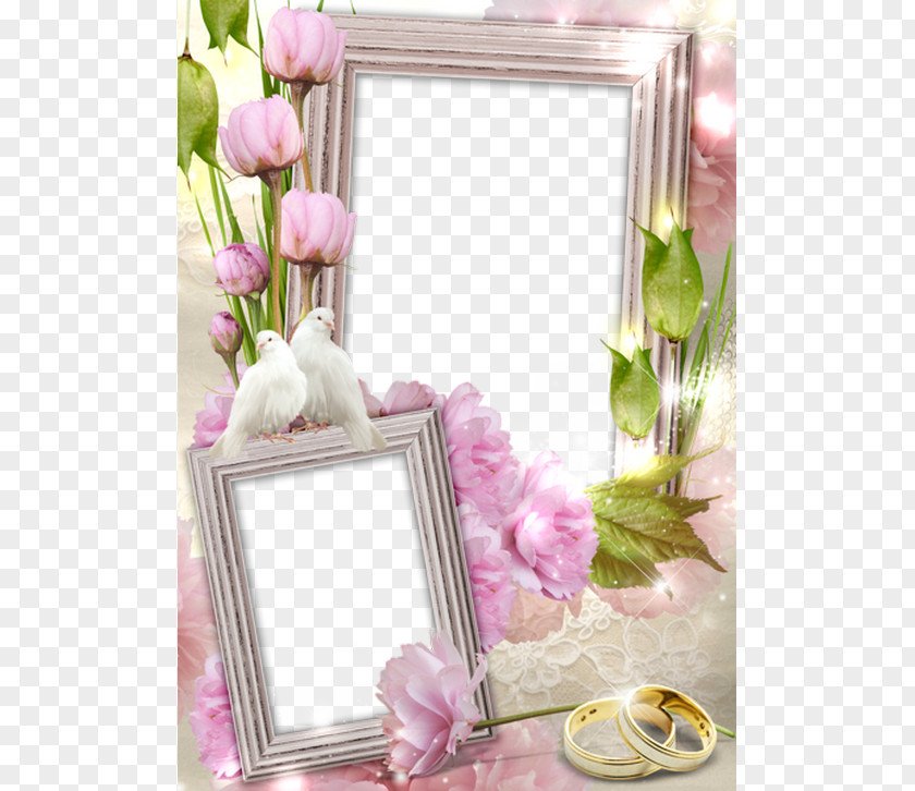 High Quality Wedding Frame Cliparts For Free! Invitation Cake Picture Frames PNG