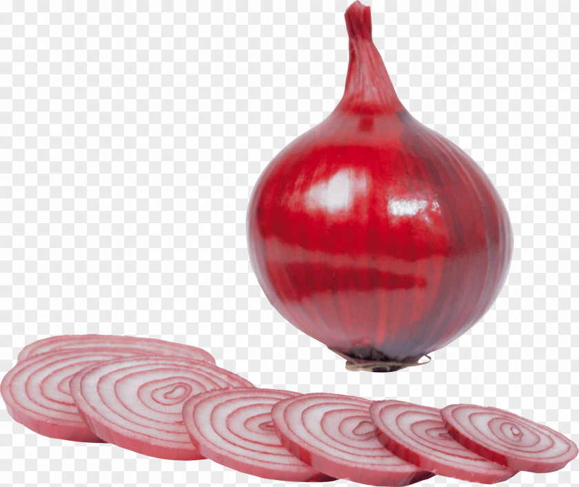 Red Onion Image Juice PNG