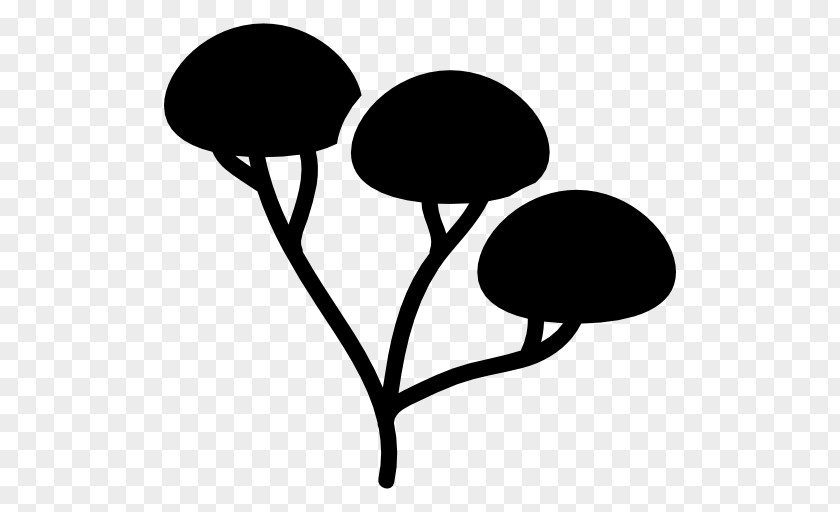 Tree Drawing Branch Clip Art PNG