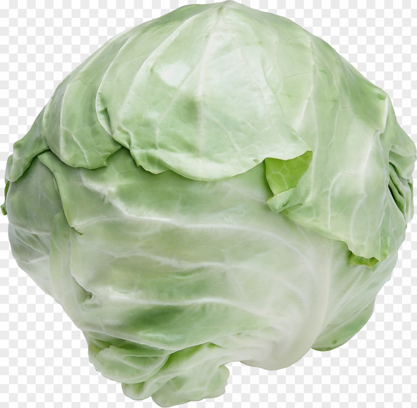 Brussels Sprout Plant Cabbage Iceburg Lettuce Cruciferous Vegetables Vegetable Wild PNG