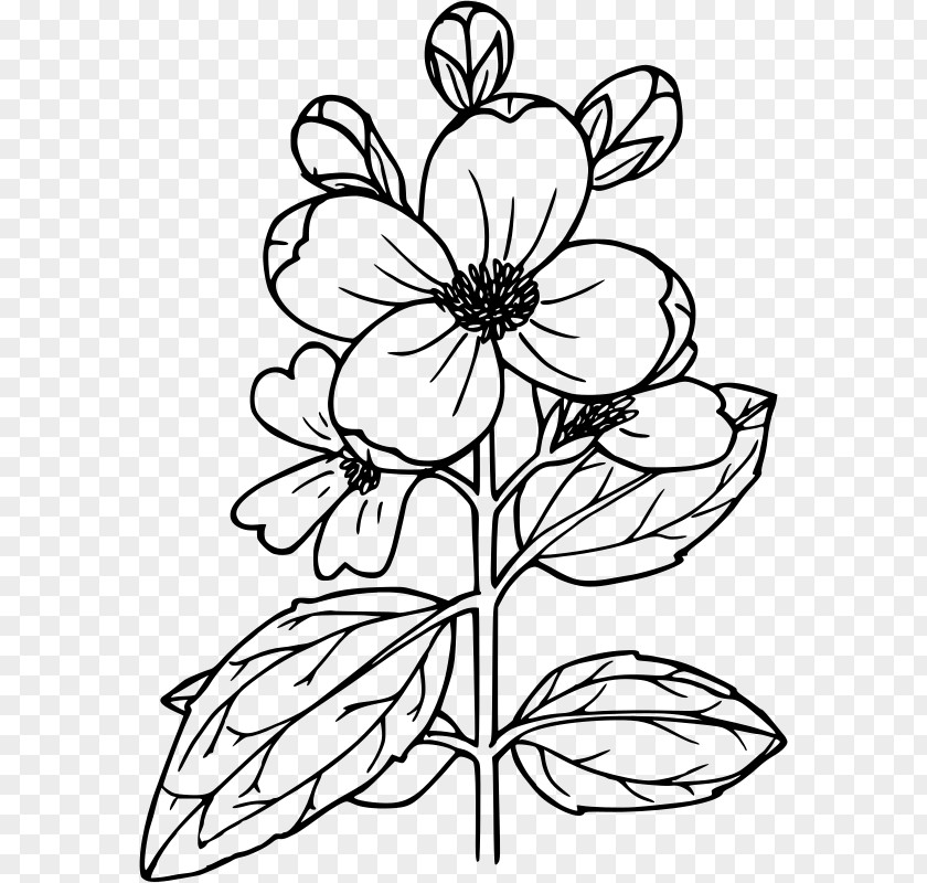 Flower Drawing Power House Mechanic Working On Steam Pump Clip Art PNG