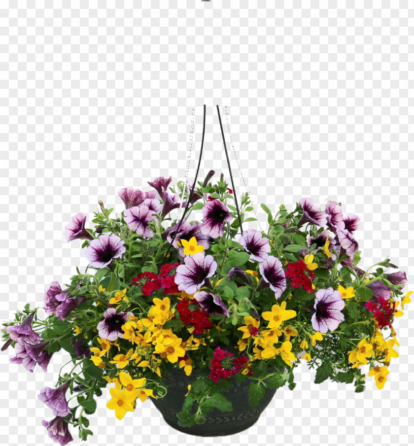 Flower Pot Floral Design Annual Plant Tidy Towns Floristry PNG