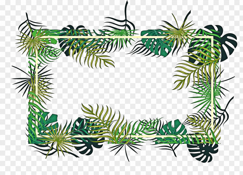 Red Pine Eastern Hemlock Cartoon Palm Tree PNG