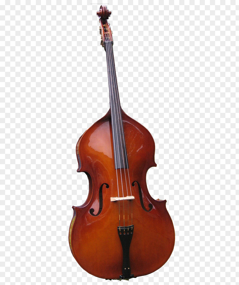 Bass Double Guitar Cello Viola String Instruments PNG