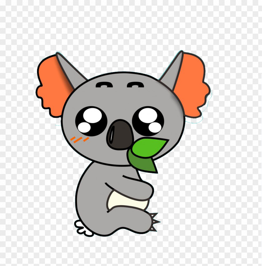 Cartoon Koala Eating Leaves Drawing PNG