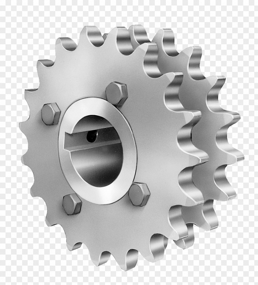 Chain Gear Roller Sprocket HAIDAR HASSOUN & CO PNG