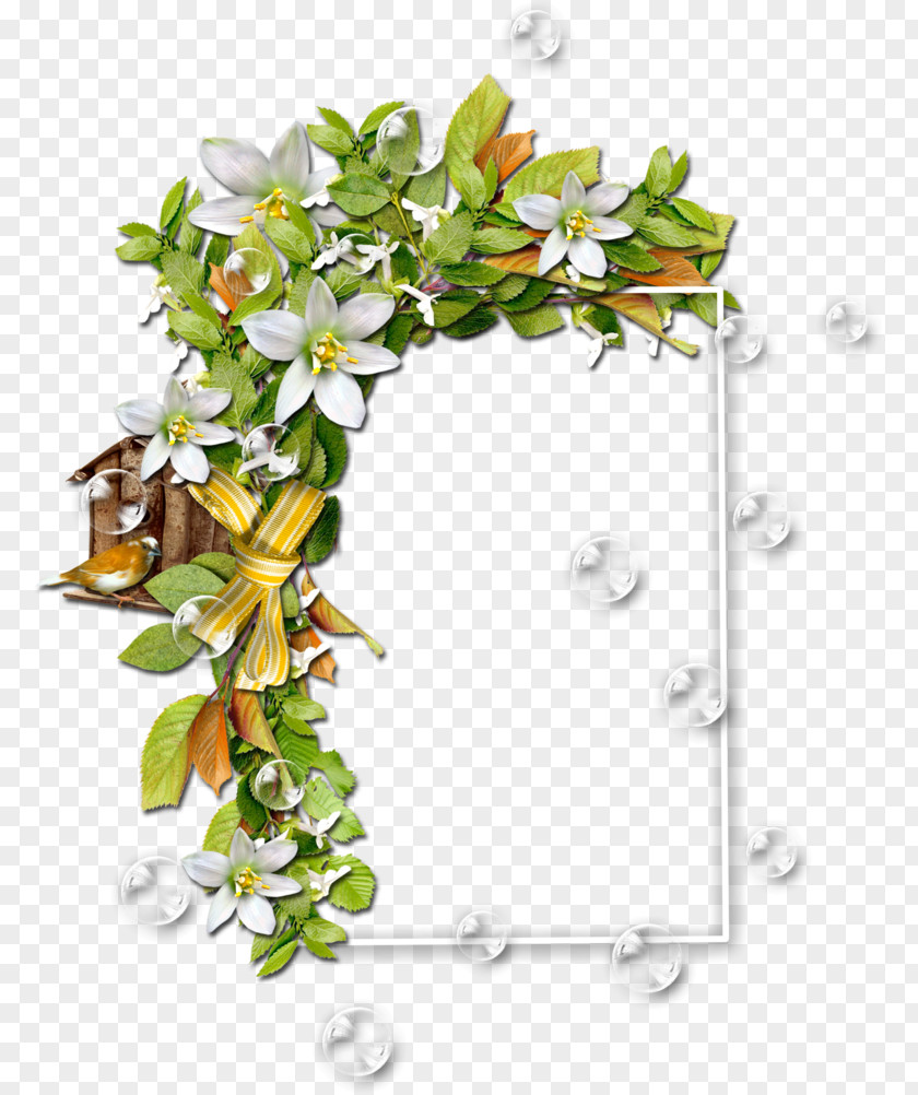 Flower Borders And Frames Floral Design Vase Clip Art PNG