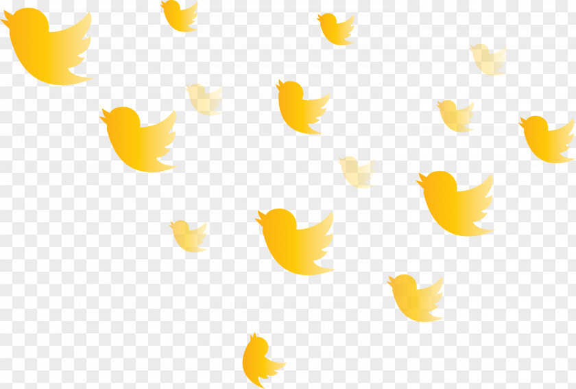 Twitter Flying Birds PNG