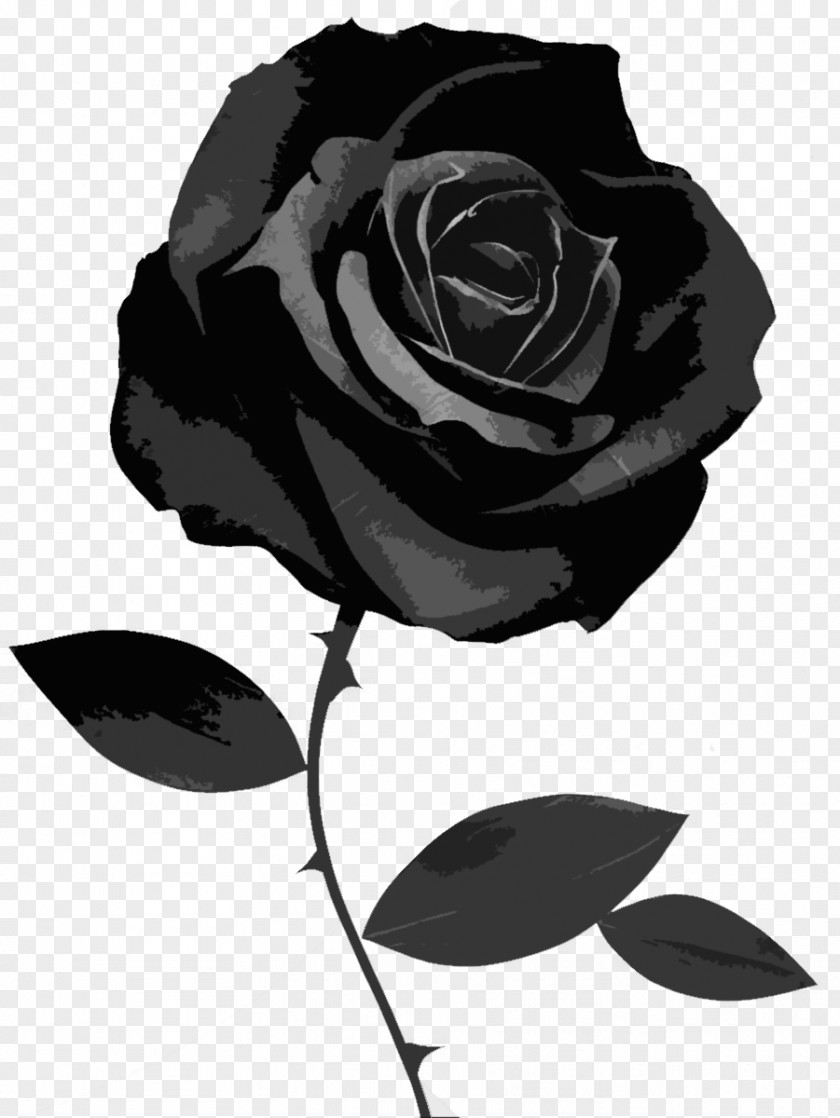 Black Rose Desktop Wallpaper Symbol PNG