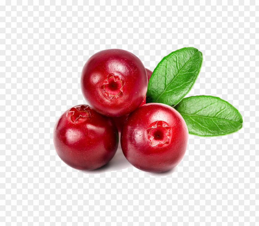 Dates Cranberry Juice Lingonberry PNG