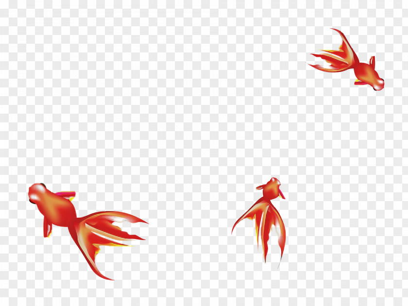 Floral Design PNG