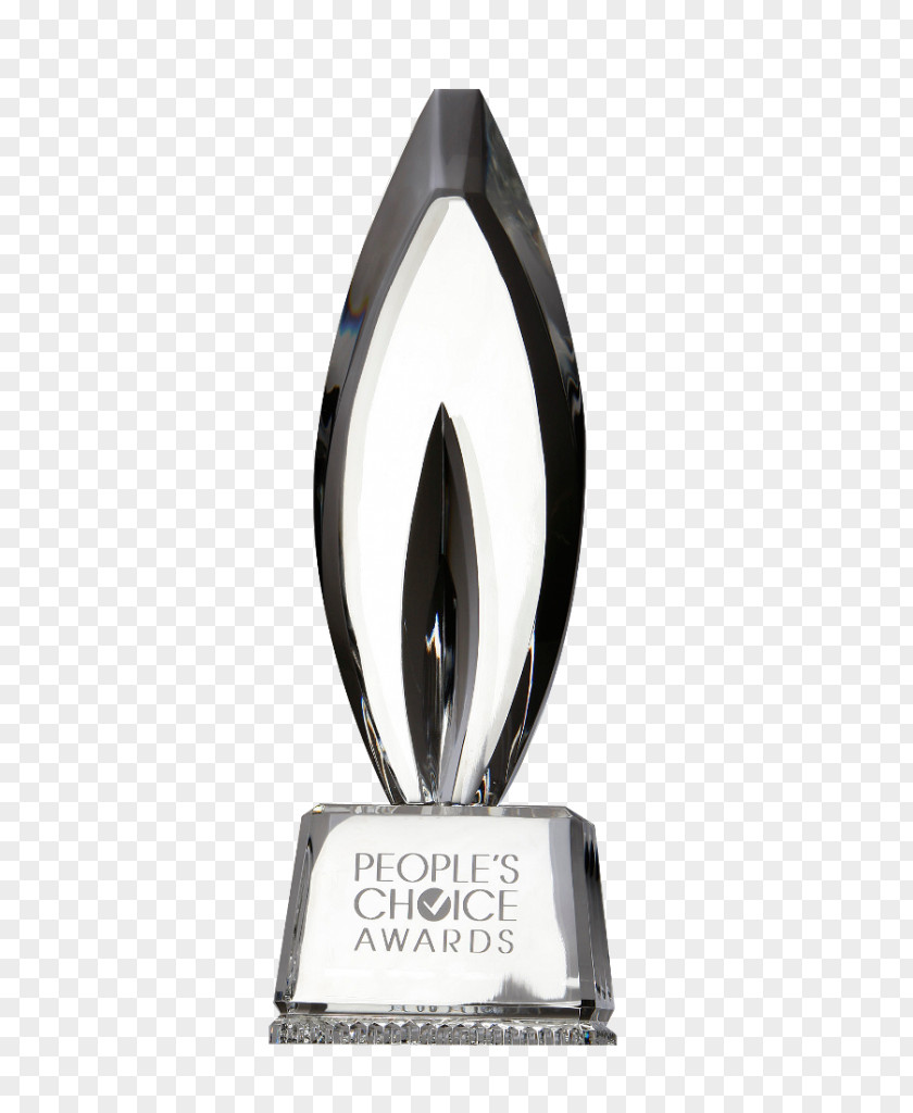 Award 43rd People's Choice Awards 42nd 41st PNG
