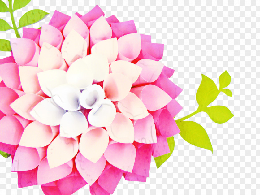 Dahlia Bouquet Pink Flower Cartoon PNG