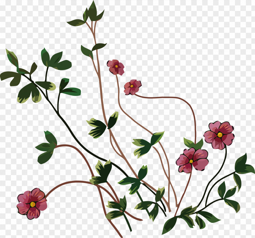 Floral Design PNG